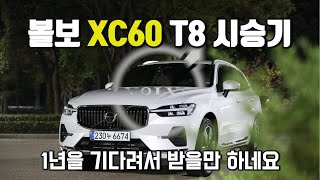 볼보 XC60 T8 플러그인 하이브리드 시승기 연비 및 트렁크 공간 리뷰 볼보xc60 xc60 [upl. by Dor]