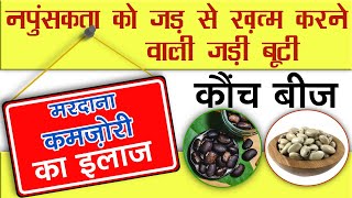 कौंच बीज के फायदे खुराक और इस्तेमाल  Kaunch Beej Ke Fayde Aur Istemal  Kaunch Beej Benefits [upl. by Rora]