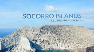 Best of Scuba Diving the Socorro Islands aboard the Solmar V [upl. by Richmond]