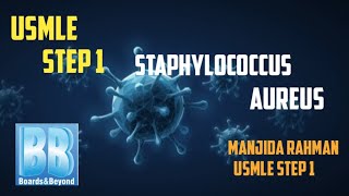 STAPHYLOCOCCUS AUREUS MICROBIOLOGYUSMLE STEP 1BnB [upl. by Oalsecnew]