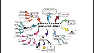 Hip Examination  OSCE [upl. by Audley211]