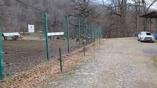 Caucasian Red Deer Breeding Center in Dilijan National Park [upl. by Eednac509]