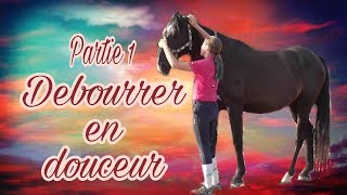 Comment débourrer son cheval en douceur Partie 1 [upl. by Amos]