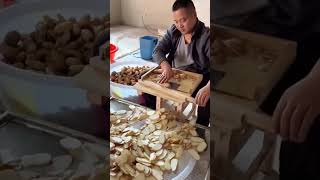 Slicing process of the gastrodia tuber [upl. by Slaughter]