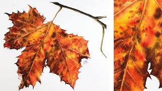 Leaf Painting Watercolor Demonstration [upl. by Krauss]