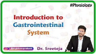 Introduction to Physiology of Gastrointestinal System  USMLE Step 1 [upl. by Einahc]