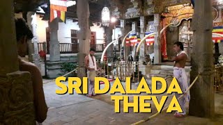 ශ්‍රී දළදා තේවාව Sri Dalada Maligawa Thevawa Sri Lankan Traditional Drumming Kandy Sri Lanka [upl. by Mccourt]