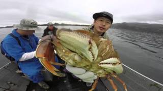 Crabbing Garibaldi [upl. by Pelaga865]