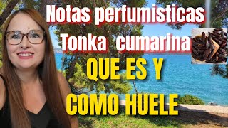 Como HUELE la haba tonkacumarina en los perfumesQUE es la cumarina y la tonka Notas perfumisticas [upl. by Adniral]