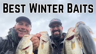 Best Winter Baits with Rob Cloutier [upl. by Camus]