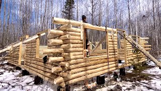 Building A Big Log Cabin Alone In The Woods Notching Heavy Logs Around Windows [upl. by Eimmas]