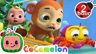 Itsy Bitsy Spider Song  Cocomelon  Nursery Rhymes  Fun Cartoons For Kids [upl. by Neirol788]