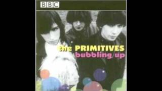 Primitives Crash Andy Kershaw BBC Session 1986 [upl. by Elocim]