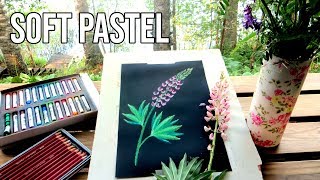 How to Draw a Lupine  Soft Pastel Flower Tutorial [upl. by Ahsikal50]