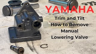 Yamaha Trim and Tilt How to Remove Manual Lowering Valve [upl. by Nothsa]