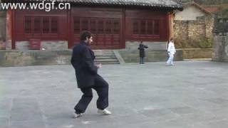 Wudang Kungfu Academy Student  Longhua Quan Dragon Form  武当龙华拳 [upl. by Lavro]