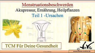 Menstruationsbeschwerden behandeln mit der TCM Teil 1 [upl. by Dodson968]