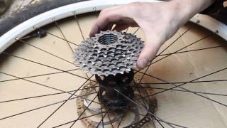 Shimano XT rear hub service [upl. by Tiff]