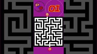 8 Second Maze 14 [upl. by Marven]