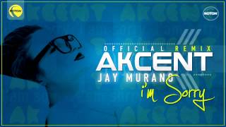 Akcent  Im sorry Jay Murano Remix [upl. by Dolloff]