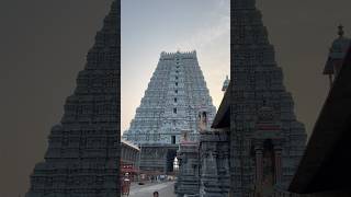 Arunachalam East Gopuram devotional harharmahadev trending reels god govinda karthikamasam [upl. by Akenit755]