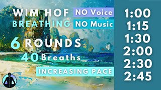 WIM HOF Guided Breathing  40 Breaths 6 Rounds Increasing Pace  To 245min No Voice No Music [upl. by Dollar]