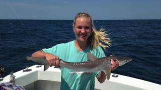 Catching Spiny Dogfish Sharks [upl. by Pearman356]