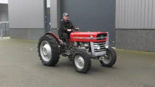 MasseyFerguson 135 for sale at VDI auctions [upl. by Zarla158]