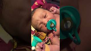 Just afterbirth newborn baby videos [upl. by Esineg68]