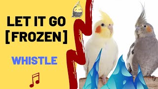 LET IT GO FROZEN WITH WHISTLE  Cockatiel Singing Training  Bird Whistle  Parrot Practice [upl. by Ahsinar]