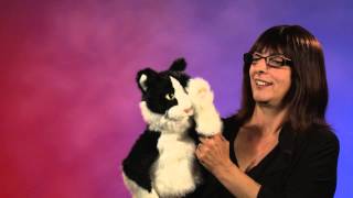 Folkmanis® Tomcat Puppet Demo [upl. by Colene]