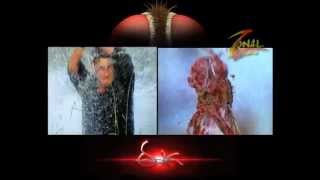 Eega Imitates Chiranjeevi Mahesh babu Raviteja and Jr NTR [upl. by Rondi]