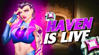 Waiting For Riot Buddy  Reyna Main  Valorant Live  HavenYT Live facecam valorantindia shorts [upl. by Esbenshade386]