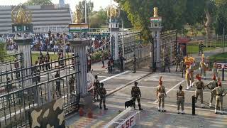 Attari Vaga Border Beating Retreat Ceremony Bharat Pakistan Border भारत पाकिस्तान अटारी बार्डर [upl. by Idelia723]