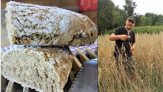 RACCOLGO IL GRANO e FACCIO IL PANE a casa Pane facile di SEGALE PANE NERO [upl. by Monjan]