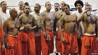 Gangs in Prison  Documentary Films [upl. by Adnal383]