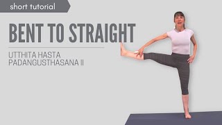 Utthita Hasta Padangusthasana II Working from Bent to Straight [upl. by Ahsekin]