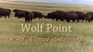 Wolf Point Red Road Stories [upl. by Nosila]