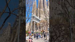 Admiring Gaudis work  Basílica de la Sagrada Família spain español barcelona spanishcity god [upl. by Patrica]