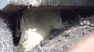 Carport Sun Deck Foundation and Oil Tank Fail  Insurance Issue [upl. by Brozak]