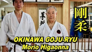 An incredible Karate Master in Okinawa Morio Higaonna [upl. by Artenra814]