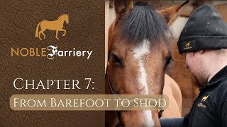 Noble Farriery Chapter 7 From Barefoot to Shod Diesels Story [upl. by Amadis]