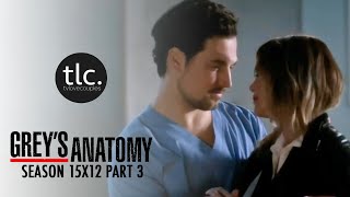 Greys Anatomy Meredith amp Andrew DeLuca MerLuca Season 1512 33 [upl. by Mercer]