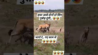 trending highlights viralvideo shorts shivbahor shivbahorsaket reels funny fighter mims [upl. by Tyrus988]