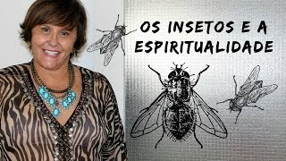 Os Insetos e a Espiritualidade [upl. by Maurie]