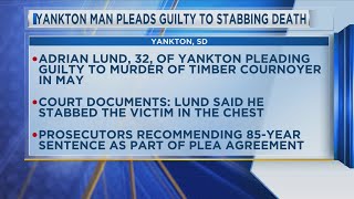 Yankton Man Pleads Guilty to Stabbing Death [upl. by Stanfill422]