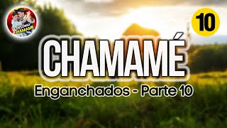 ✅ENGANCHADOS de CHAMAMÉ 2024 🎼 quotParte 10quot 🎼EXCLUSIVO CHAMAME 2024✅ [upl. by Epoillac]