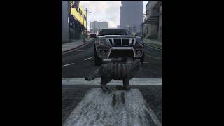 gta gtaonlinehumor game cat [upl. by Aubigny552]