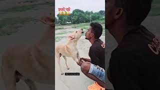 Aap Hasate Hi Rah Jaoge Is Video Dekne Se 😁😂 funny love trending 2024 [upl. by Vrablik230]