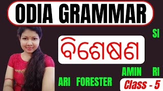 ODIA GRAMMAR  ବିଶେଷଣ Special Class for Bisesya FORESTER FOREST GUARD ARI SI RI ARI AMIN [upl. by Guidotti]